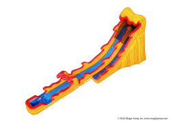 flammin20wave202 1770944944 22' Flammin Wave